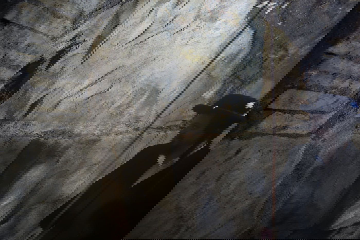 גילוי המערה