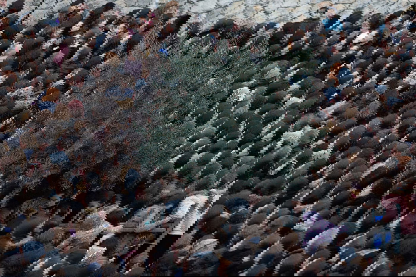 תיעוד: אלפי חסידי גור בחופת נכד האדמו"ר