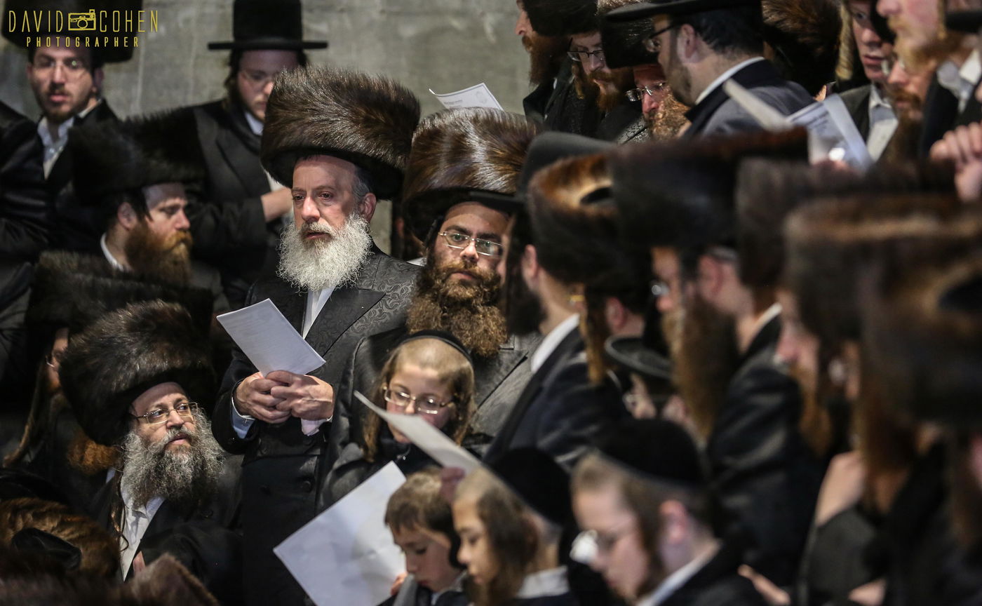 המשפיע 'ר' מיילך' בידרמן הקפיץ את חסידיו. תיעוד