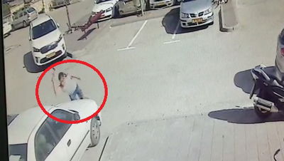 תיעוד הוונדליזם