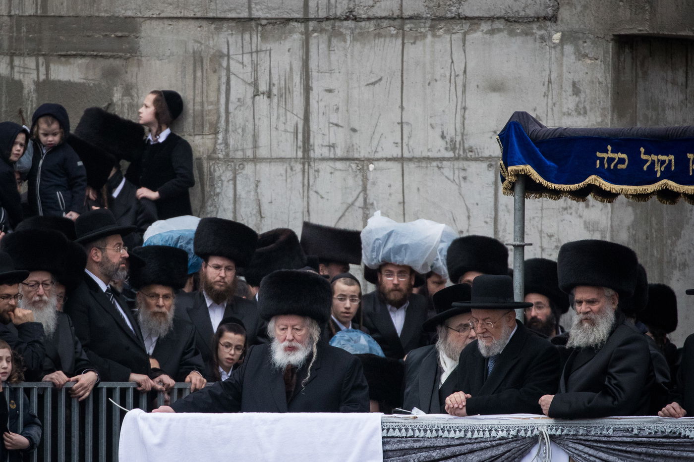 חתונת גור, השבוע