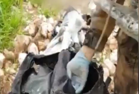 האקדחים מוצאים מהתיק