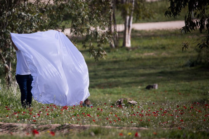 שדות הכלניות ביער באר מרווה • גלריה