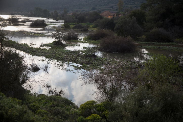מאגר בית זית