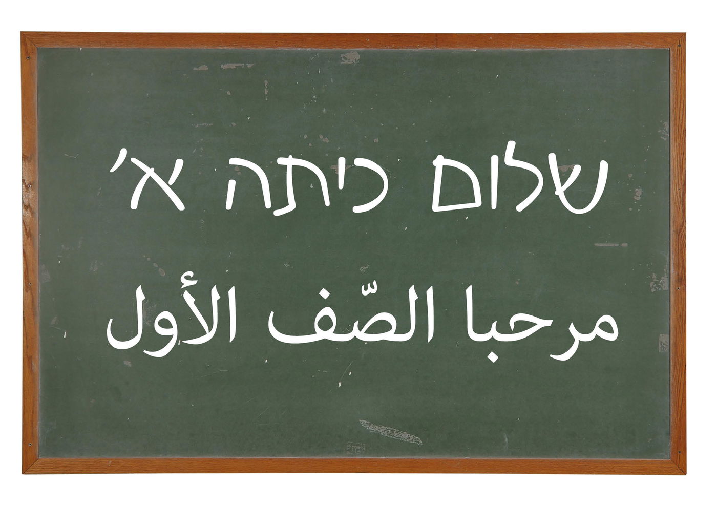 סכנת ההתבוללות החדשה. בית ספר דו-לשוני