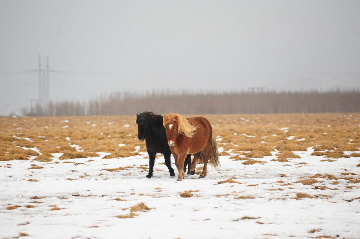 טיול דרך המצלמה לנופי הקרח של איסלנד