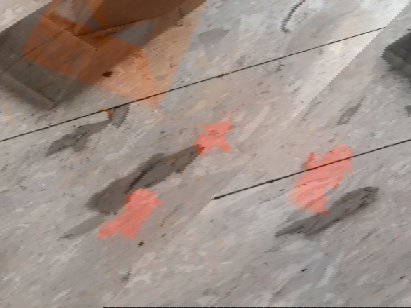 חלקי הנקניק שהוציאו מקנה הנשימה של הפעוטה