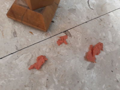 חלקי הנקניק שהוציאו מקנה הנשימה של הפעוטה