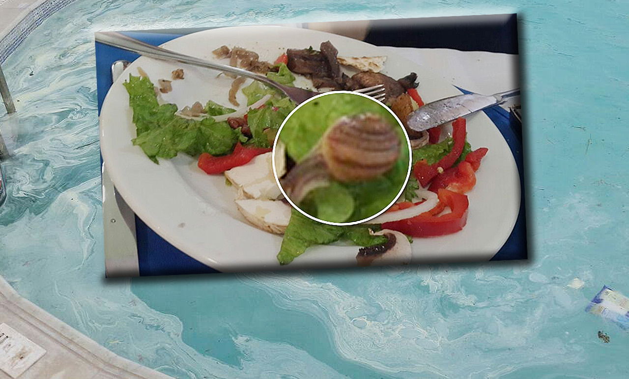 חילזון בסלט על רקע הבריכה