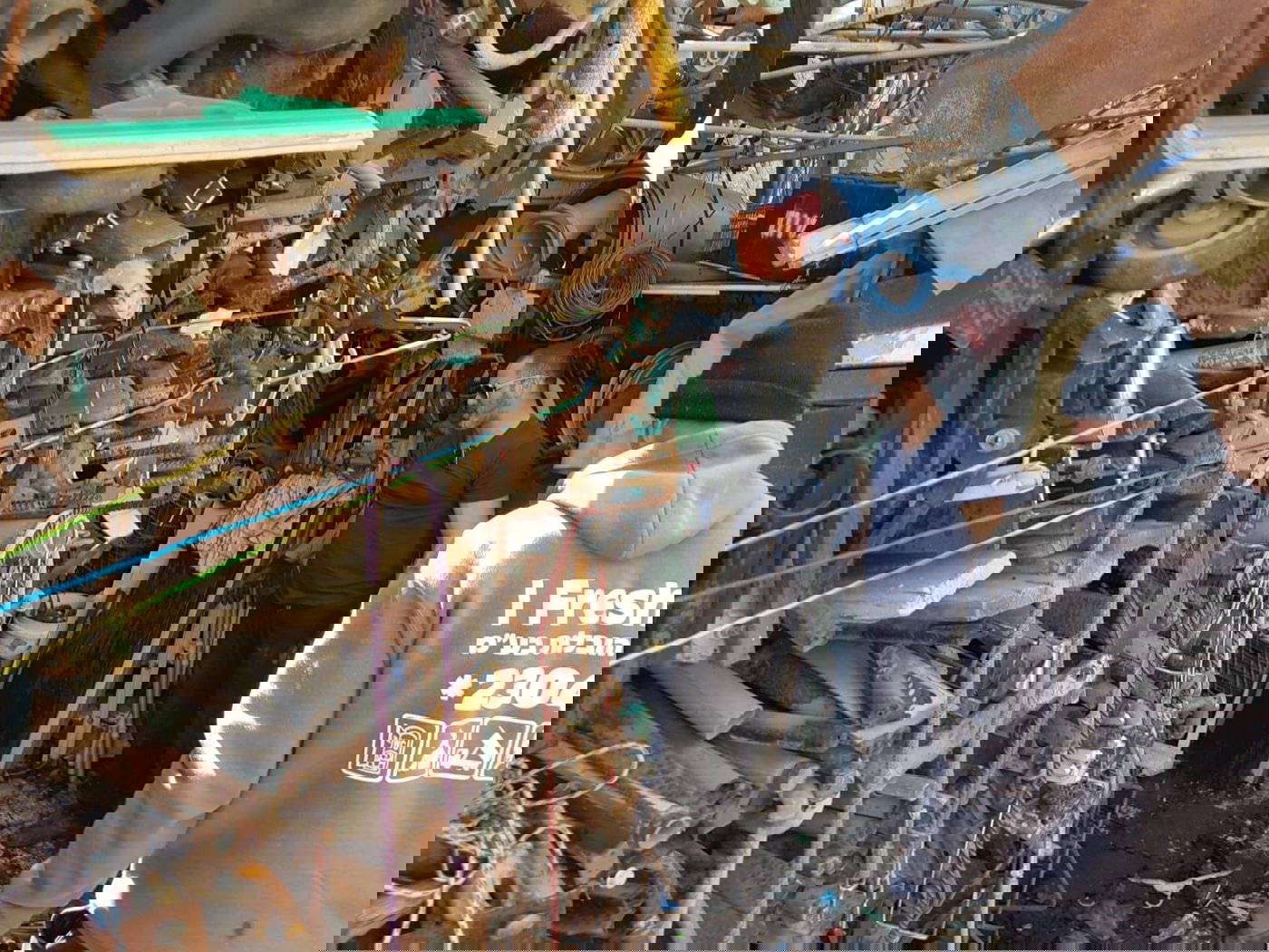 חלק מהממצאים שנתפסו