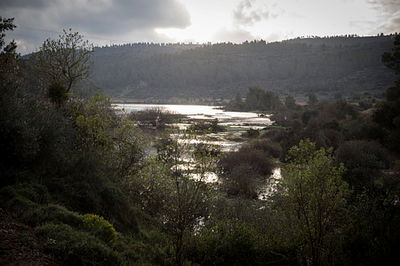 אילוסטרציה
