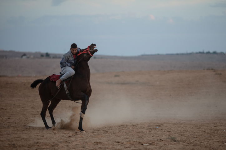 בדואים על סוסים במרחבי הנגב • גלריה