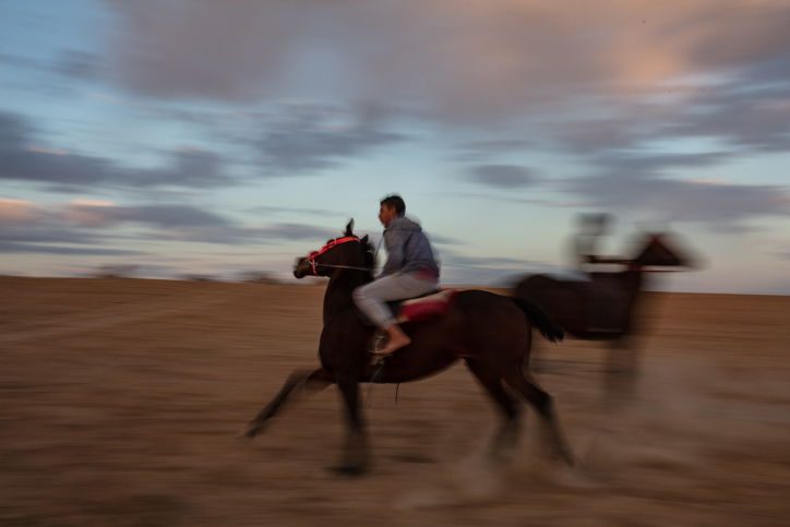 בדואים על סוסים במרחבי הנגב • גלריה