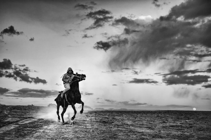 בדואים על סוסים במרחבי הנגב • גלריה