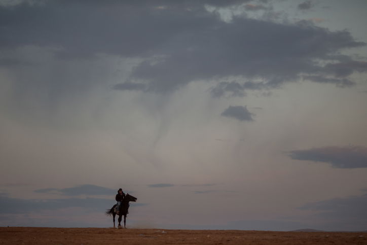 בדואים על סוסים במרחבי הנגב • גלריה