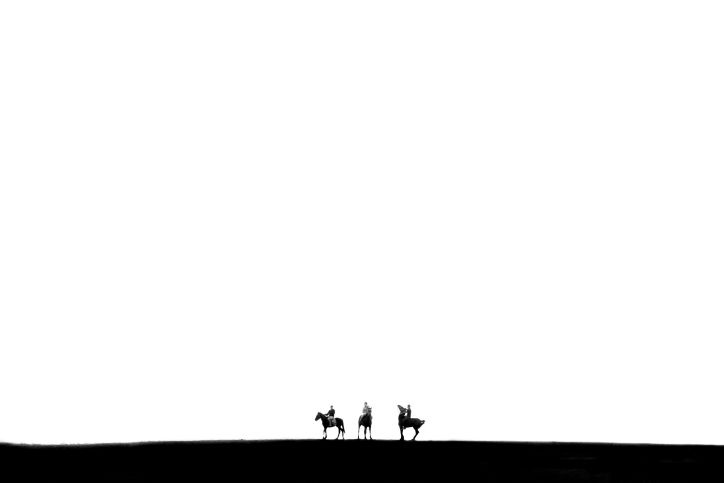 בדואים על סוסים במרחבי הנגב • גלריה