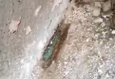 הטלפונים בקירות