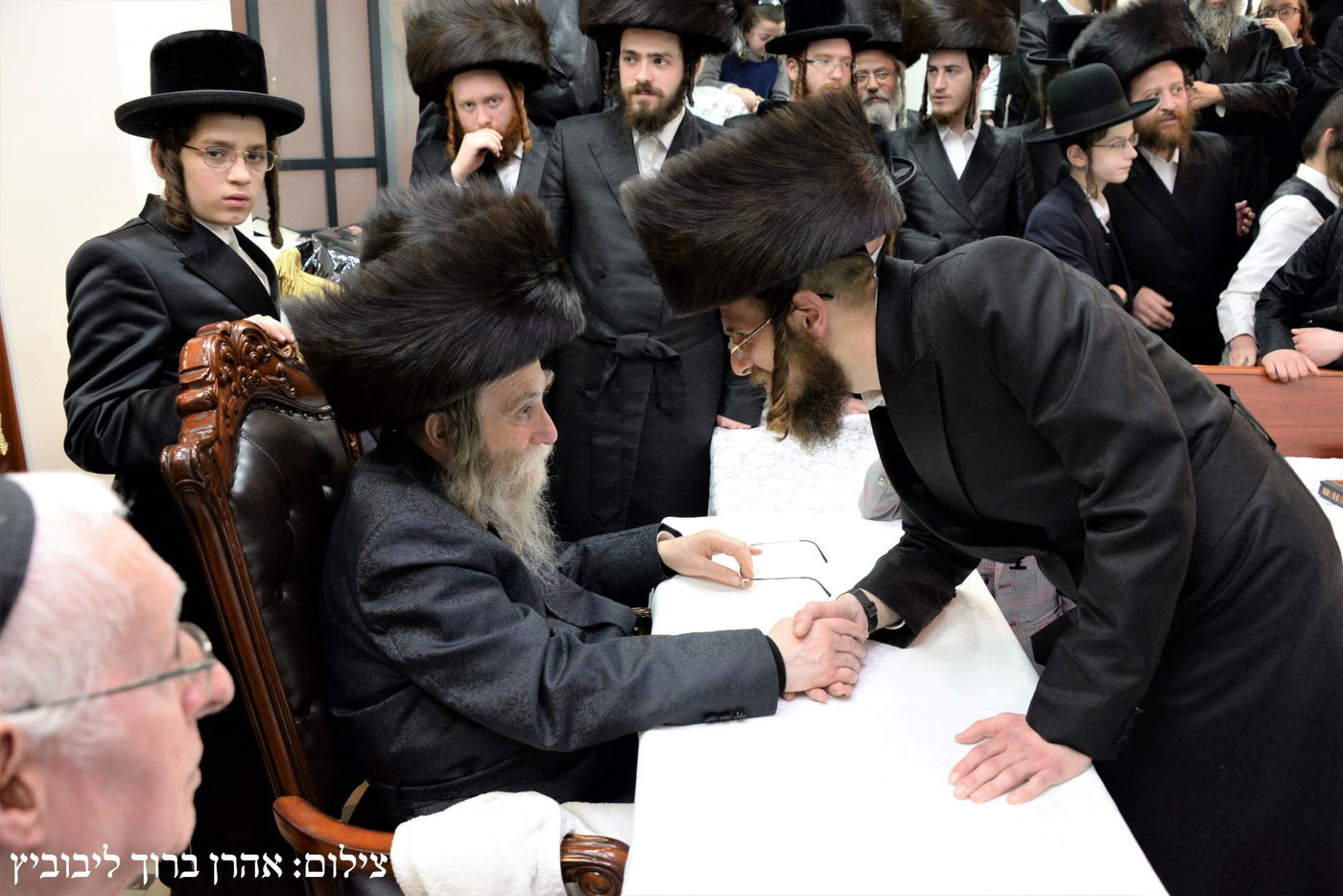 האדמו"ר מערלוי הפתיע את חסידיו בחיפה