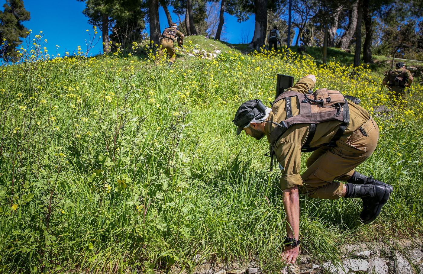 שישי, בעיר העתיקה בצפת: חיילים ונגנים