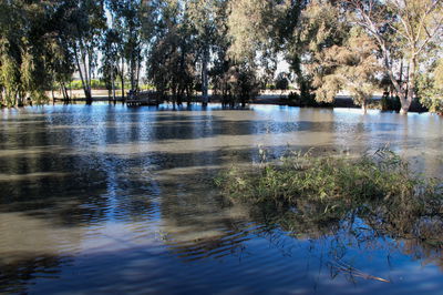 שלולית גשם גדולה שנוצרה ליד קיבוץ עין צורים בדרום