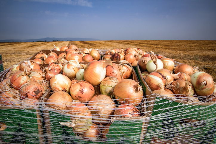פסח בא: צפי למחסור בבצל, ביצים וחמאה