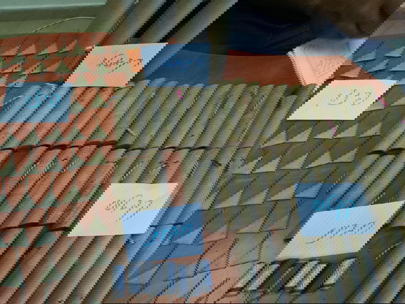 נער נפגע בעינו מנפץ "קקטוס"; סובל מדימום תוך עיני