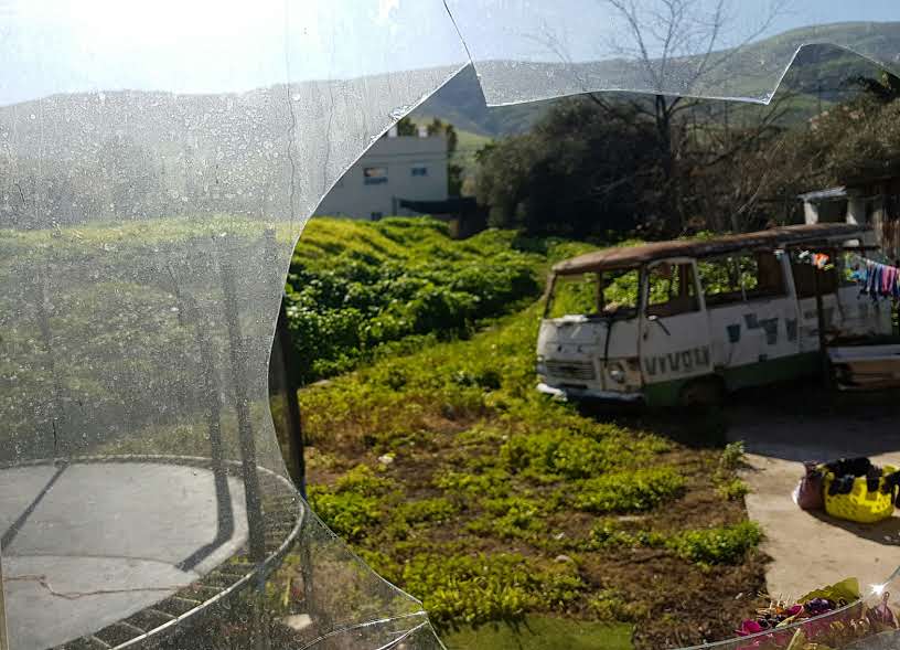 פריחה אביבית בגליל התחתון • גלריה