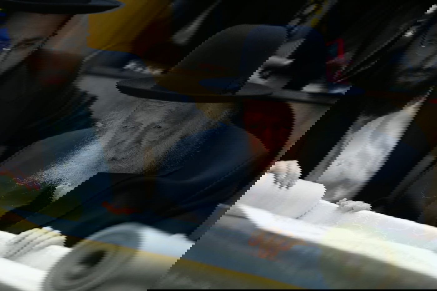 שר התורה קרא את מגילת אסתר • גלריה