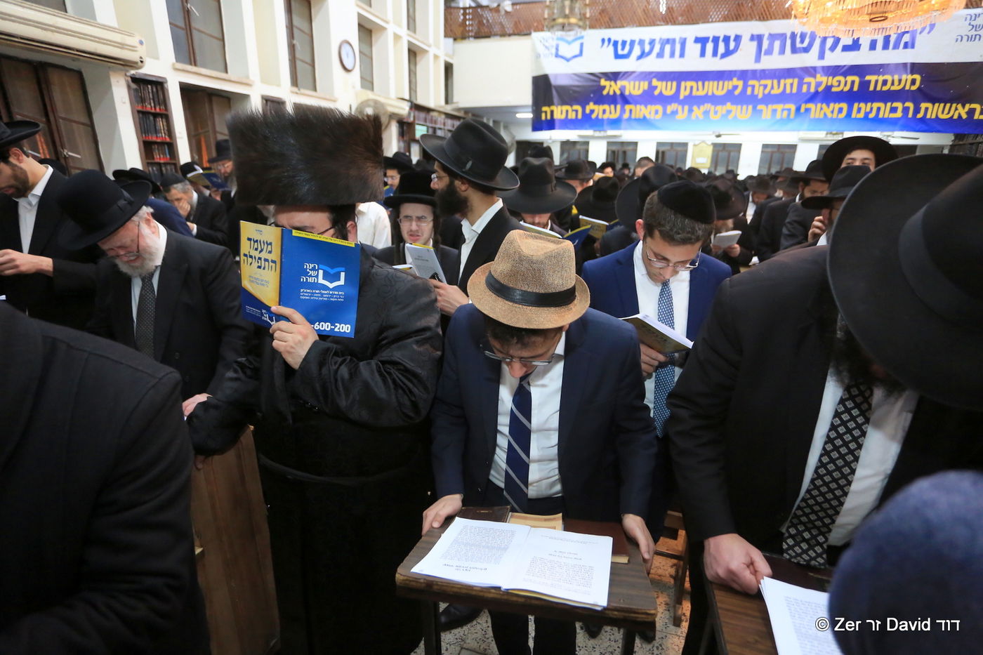 אלפים במעמדות התפילה שע"י "רינה של תורה" בחצות לילי הפורים