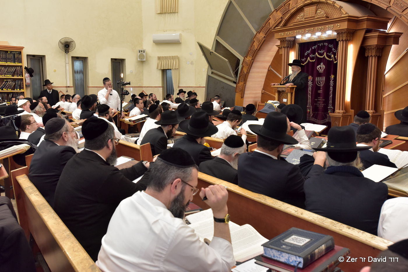 אלפים במעמדות התפילה שע"י "רינה של תורה" בחצות לילי הפורים