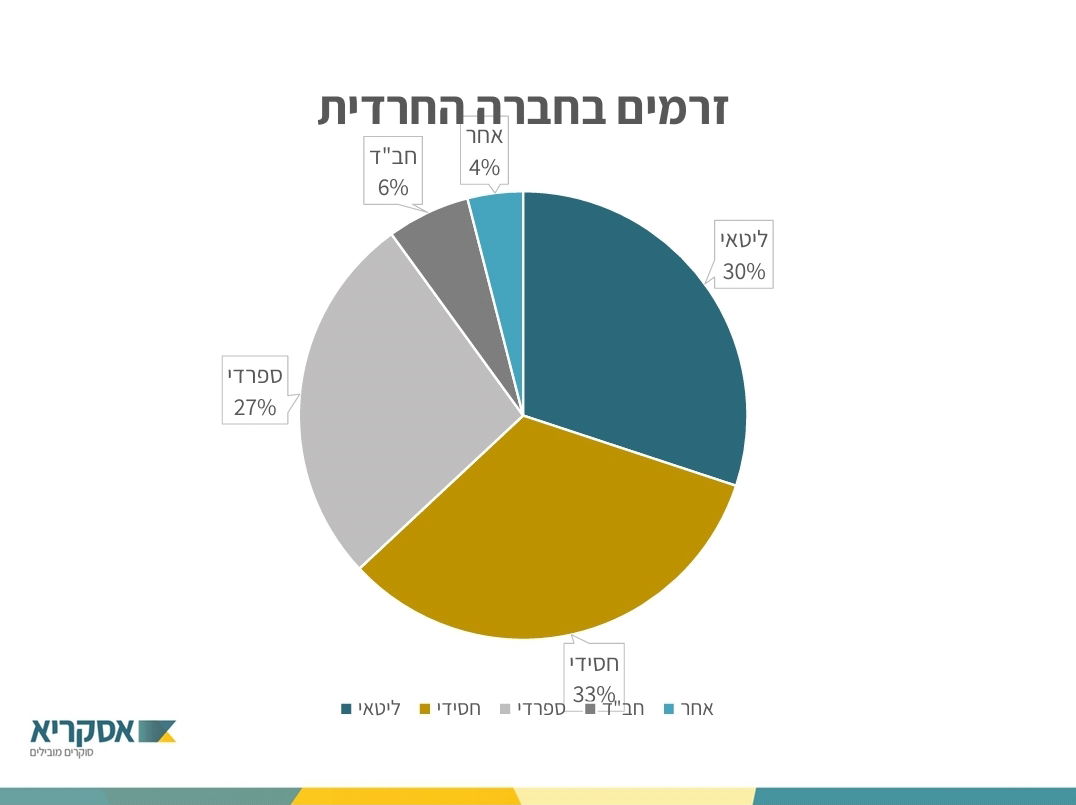 אולפן כיכר: למי החרדים יצביעו בבחירות הקרובות לכנסת?