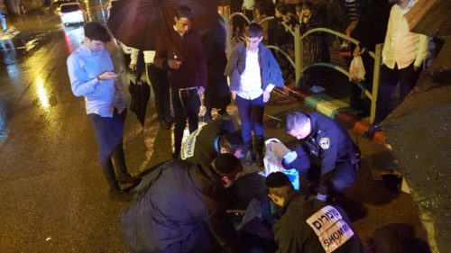 המתנדבים בוחנים את הממצאים