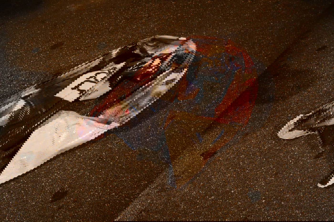 המאבק נגד שלטי הבחירות בירושלים - חזר