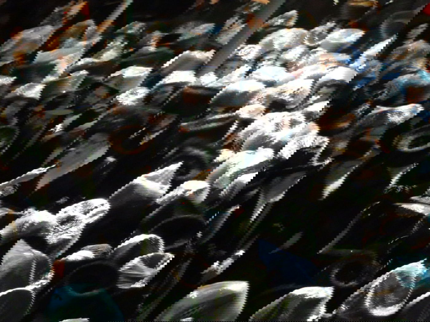 מסע הלוויה בנתניה