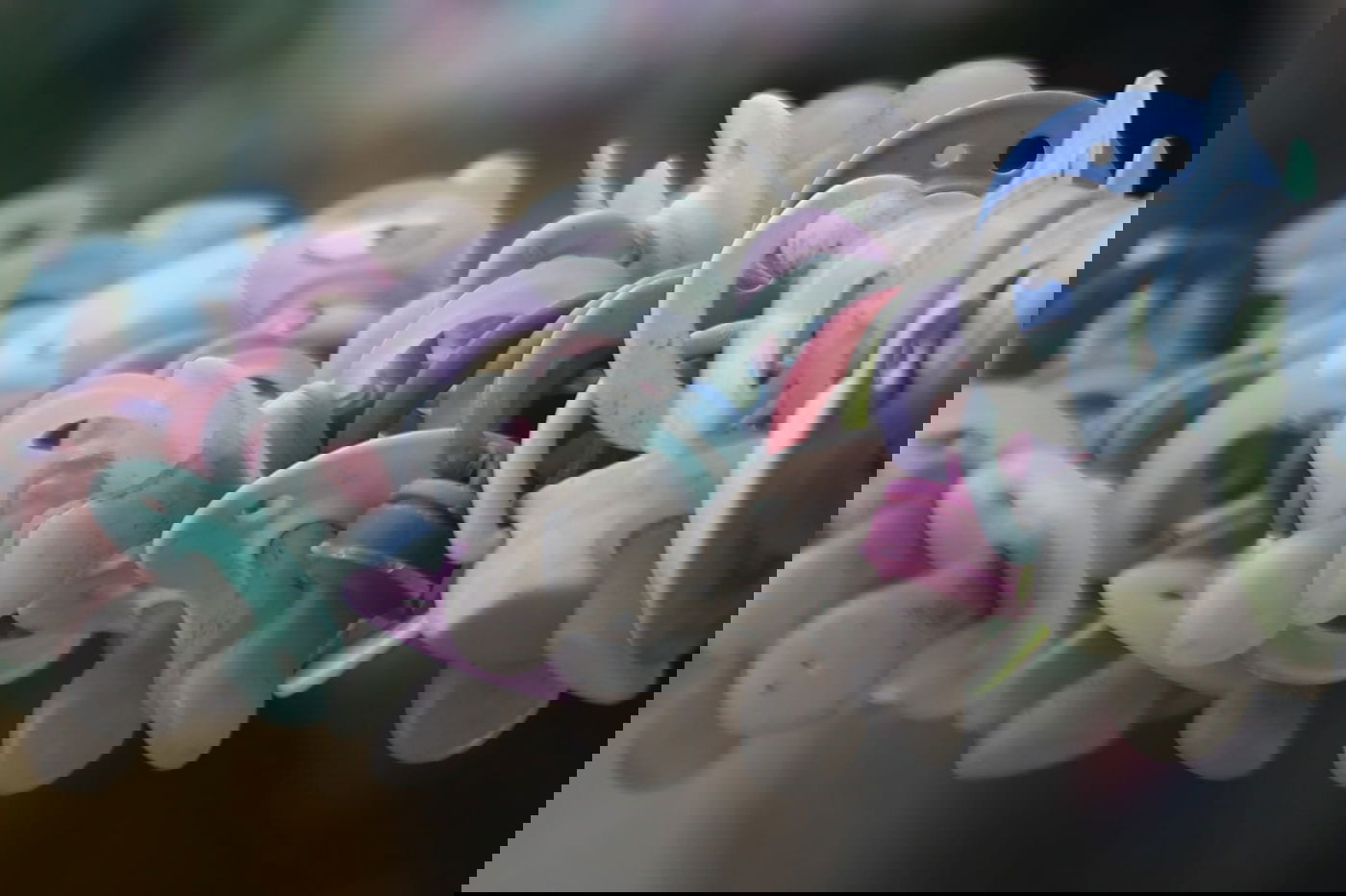 אלפי המוצצים תלוים בחצר הבית בירושלים