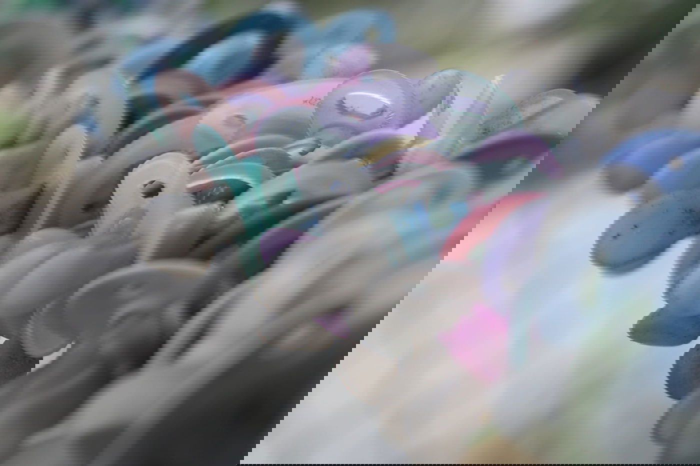 אלפי המוצצים תלוים בחצר הבית בירושלים