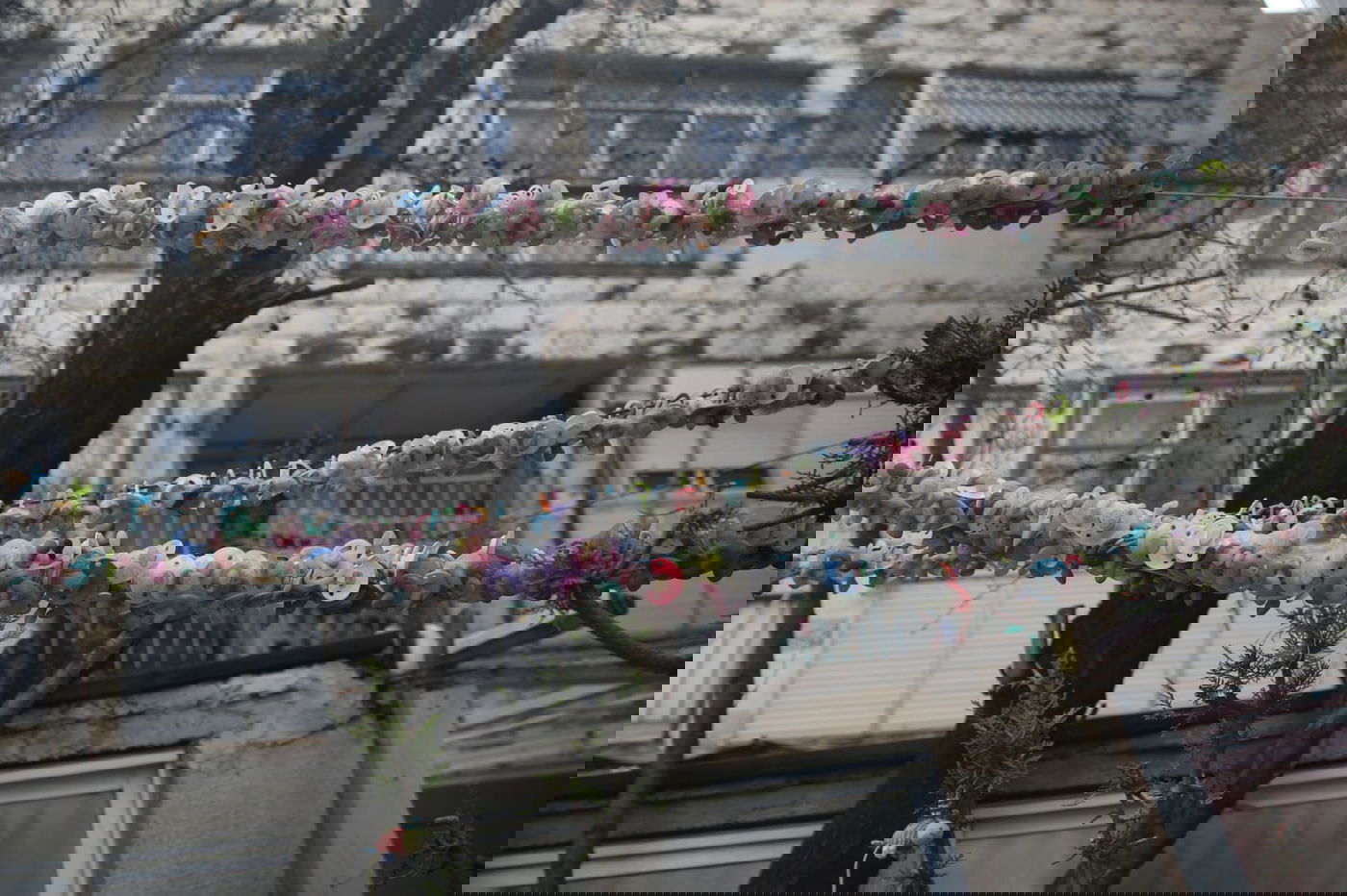 אלפי המוצצים תלוים בחצר הבית בירושלים