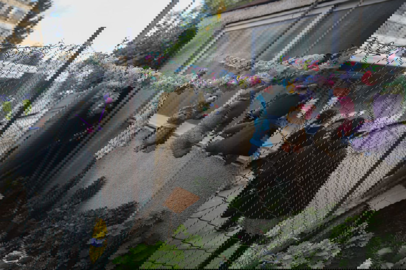 אלפי המוצצים תלוים בחצר הבית בירושלים