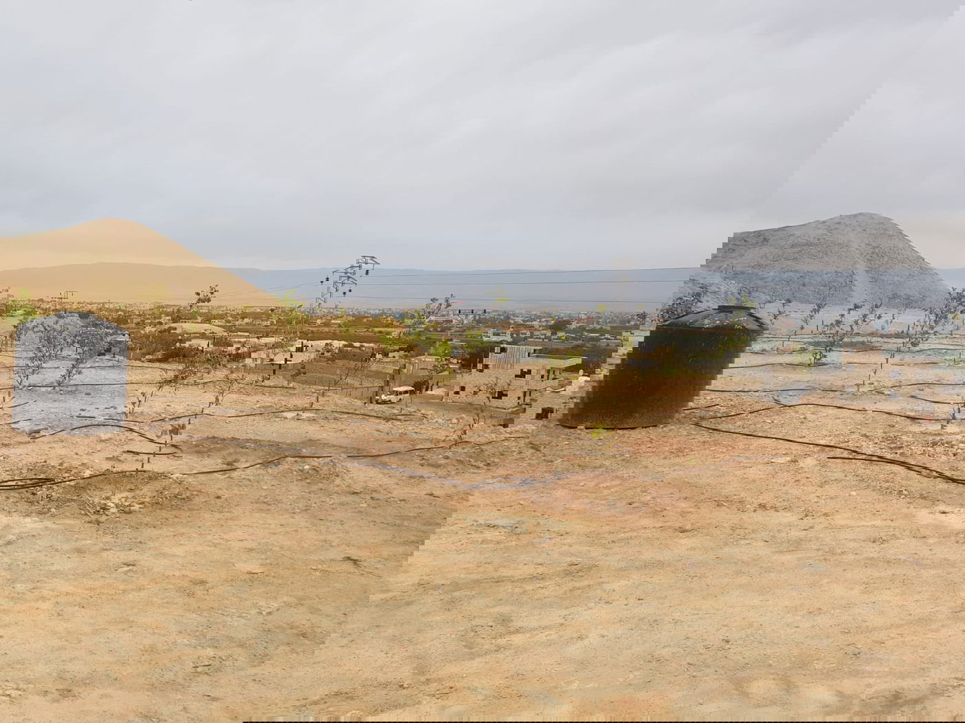 מזעזע: ערבים מיריחו בזזו את מערת הקבורה