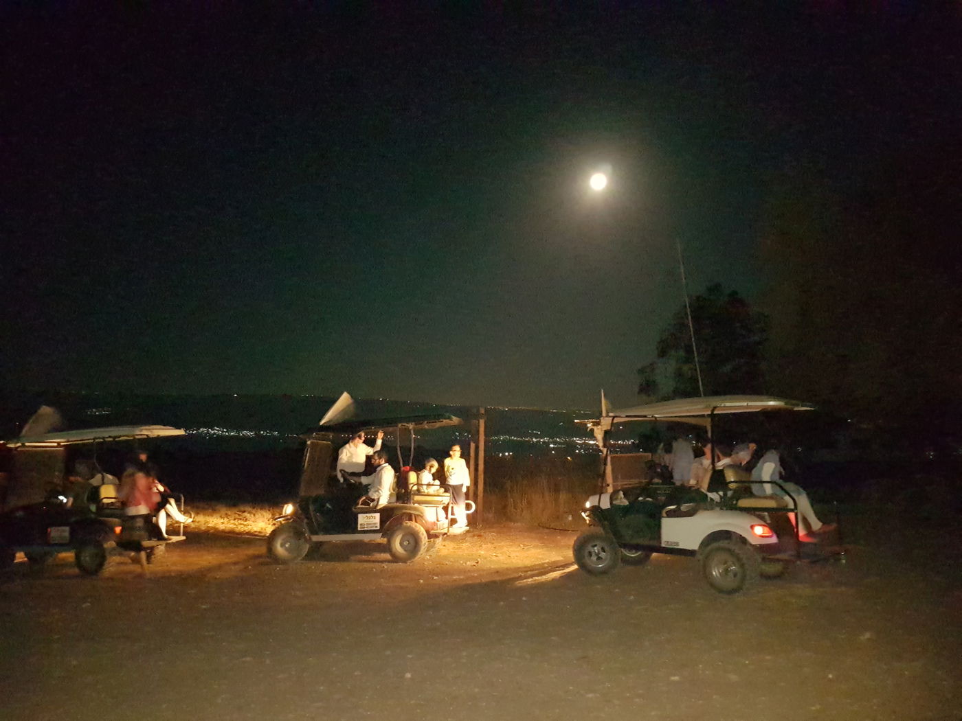 האביב כבר פה, לפחות בין גשם לגשם • צפו