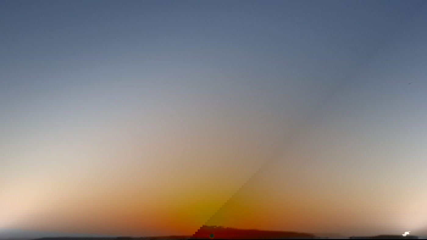 האביב כבר פה, לפחות בין גשם לגשם • צפו