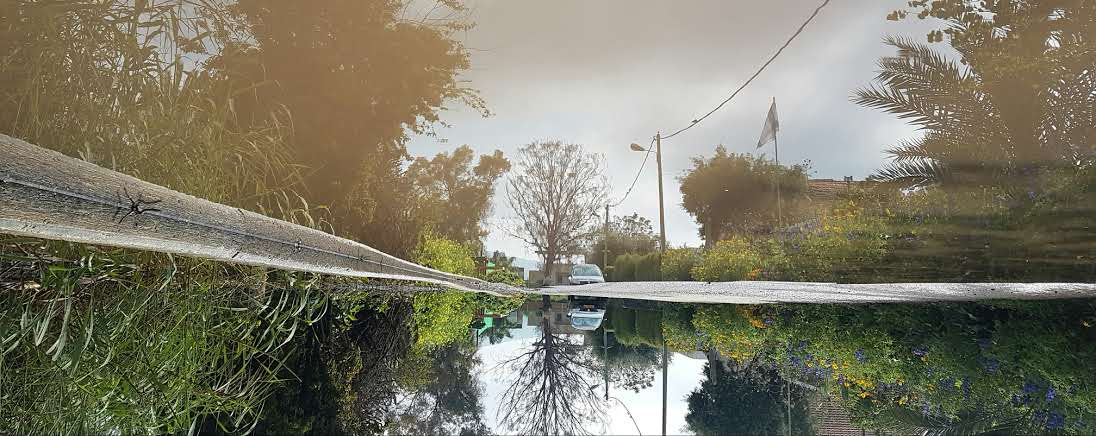 האביב כבר פה, לפחות בין גשם לגשם • צפו