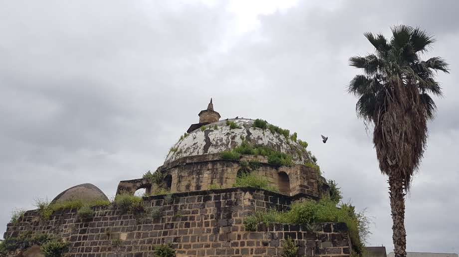 האביב כבר פה, לפחות בין גשם לגשם • צפו
