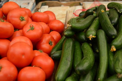 מכסות ייבוא עגבניות ומלפפונים - ללא מכס