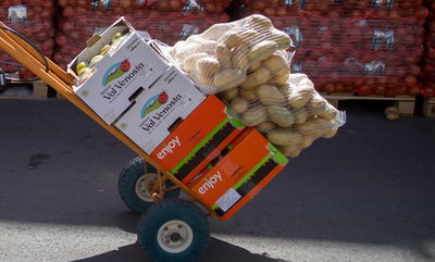 אילוסטרציה