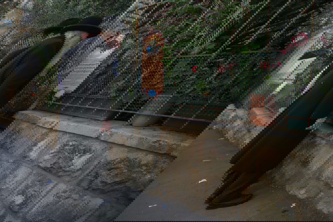 ראש הישיבה הגאון רבי יצחק שיינר בהצבעה וברכת האילנות