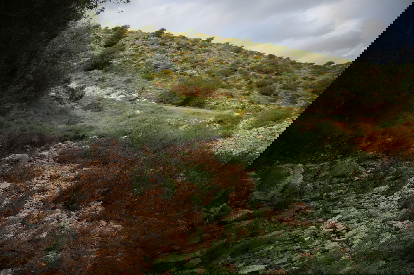 טיול דרך עדשת המצלמה לנחל חילזון