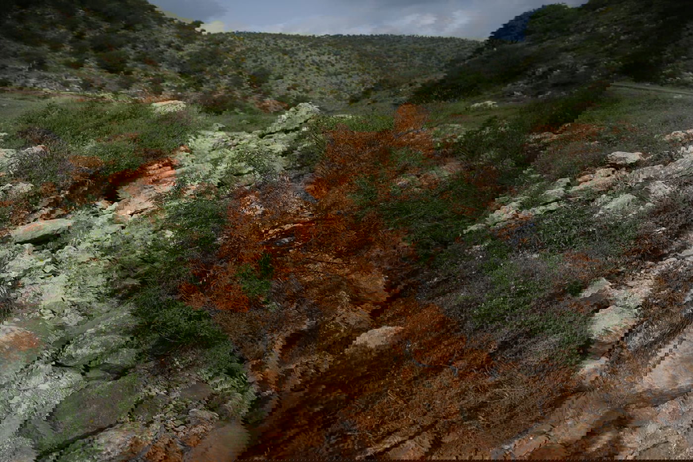 טיול דרך עדשת המצלמה לנחל חילזון