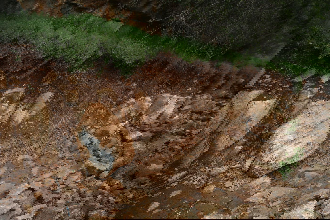 טיול דרך עדשת המצלמה לנחל חילזון