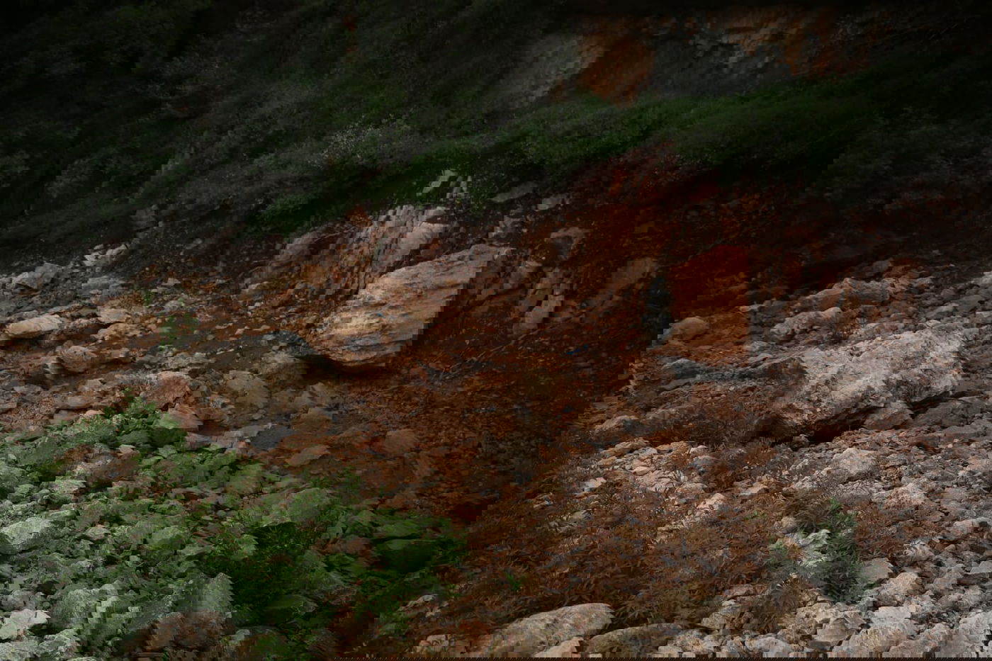 טיול דרך עדשת המצלמה לנחל חילזון